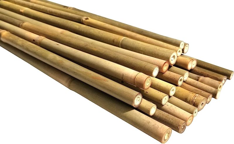 Photo 1 of Dlh Western Natural Bamboo Poles, Eco-Friendly Plant Support Garden Stakes 4ft Long, Diameter of 3/8" (25-Count)