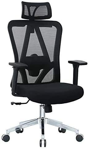 Photo 1 of Halter Ergonomic Office Chair with Lumbar Support, Executive Mesh Desk Chair Computer Chair with Swivel, Headrest, and Armrests, Height Adjustable Comfortable Task Chair with Rolling Casters, Black
