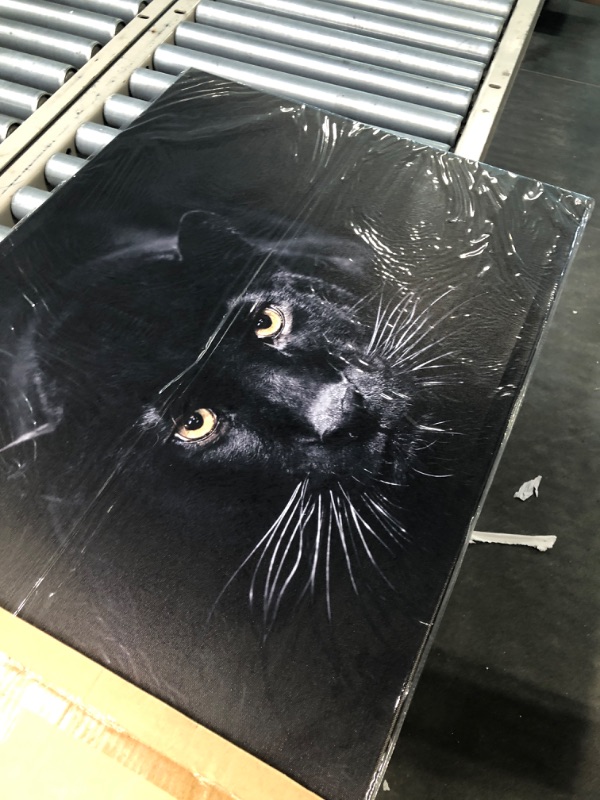 Photo 1 of CANVAS BLACK PANTHER PAINTING 