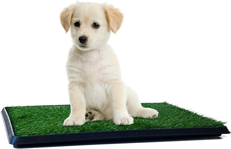 Photo 1 of 
Artificial Grass Puppy Pad for Dogs and Small Pets – Portable Training Pad with Tray – Dog Housebreaking Supplies by PETMAKER (16" x 20")