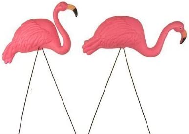 Photo 1 of 
Bright Pink Flamingo Yard Ornament (2pack)