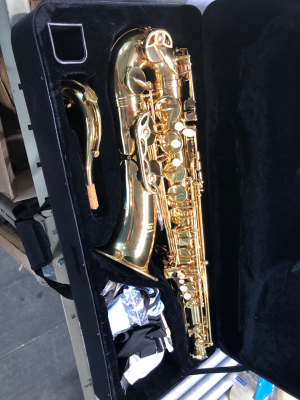 Photo 4 of 
Eastar AS-? Student Alto Saxophone E Flat Gold Lacquer Alto Beginner Sax Full Kit With Carrying Sax Case Mouthpiece Straps Reeds Stand