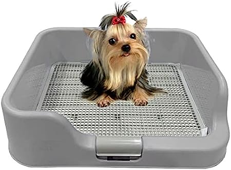 Photo 1 of [DogCharge] Indoor Dog Potty Tray – with Protection Wall Every Side for No Leak, Spill, Accident - Keep Paws Dry and Floors Clean (Tray Only, Grey)
