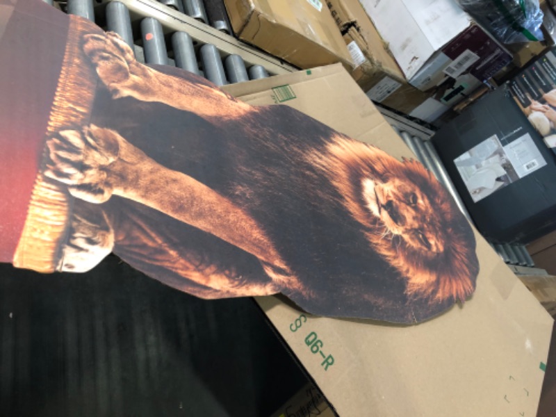 Photo 3 of Advanced Graphics Circus Lion Life Size Cardboard Cutout Standup