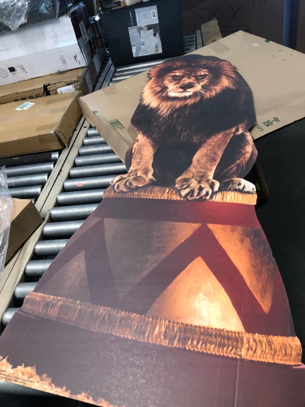 Photo 5 of Advanced Graphics Circus Lion Life Size Cardboard Cutout Standup