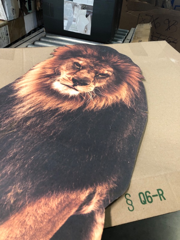 Photo 4 of Advanced Graphics Circus Lion Life Size Cardboard Cutout Standup