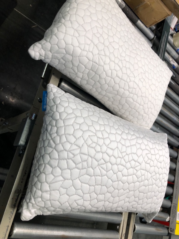 Photo 1 of 2 white pillows 