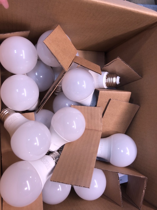 Photo 1 of Amazon Basics 60W Equivalent, Daylight, Non-Dimmable, 10,000 Hour Lifetime, A19 LED Light Bulb | 24-Pack Daylight 24 Count (Pack of 1) 60 Watt Light Bulb
