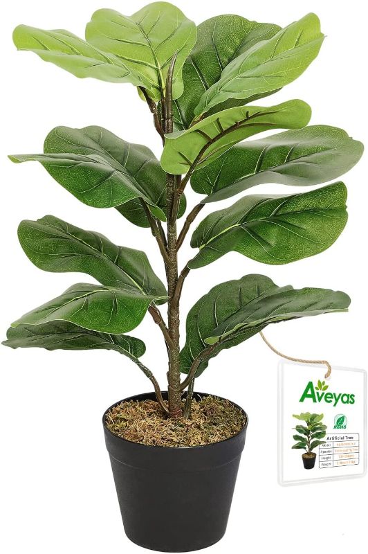 Photo 1 of Aveyas 22" Tall Artificial Fiddle Leaf Fig Tree in Cemented Plastic Pot, 22 inch Potted Faux Silk Trees Fake Ficus Lyrata Plants for Office House...
