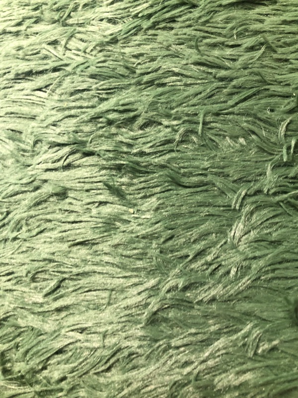 Photo 3 of 6X9 Green Area Rugs for Living Room Super Soft Floor Fluffy Carpet Natural Comfy Thick Fur Mat Princess Girls Room Rug Green 6X9 Feet