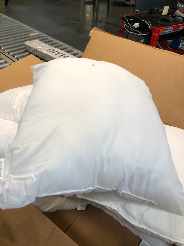 Photo 1 of 5 Pillow Inserts 