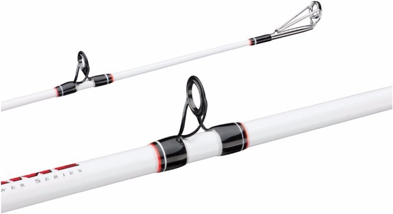 Photo 1 of Berkley Big Game Casting Fishing Rod