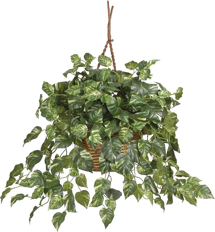 Photo 1 of 
Nearly Natural 6517 Pothos Hanging Basket Decorative Silk Plant, Green,29" x 10.25" x 10.25"