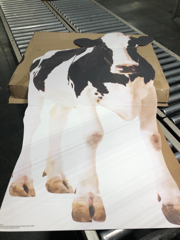 Photo 3 of Advanced Graphics Cow Life Size Cardboard Cutout Standup