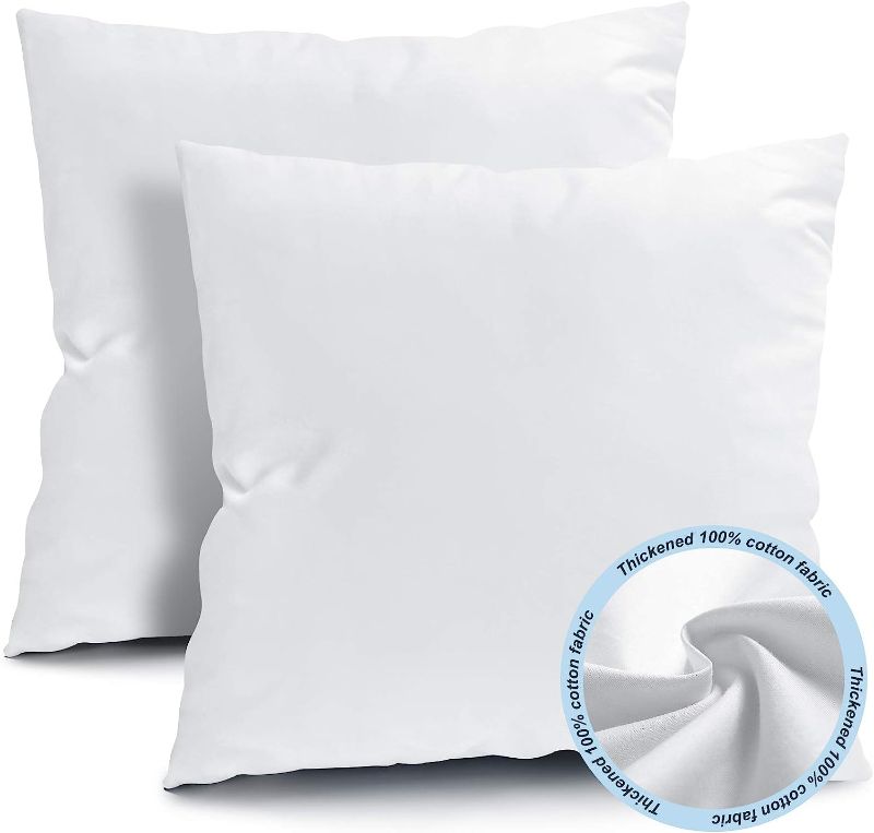 Photo 1 of 16x16 Inches Outdoor Pillow Inserts Set of 2