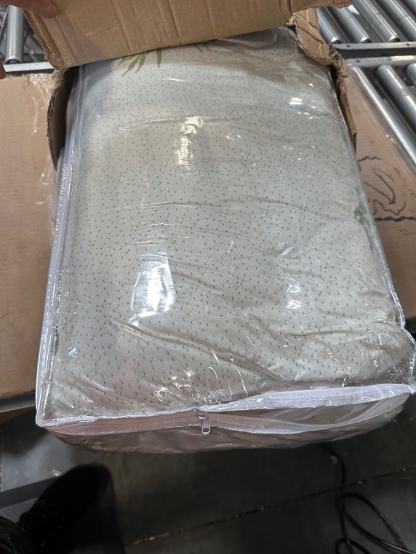 Photo 1 of Bamboo Mattress Topper Queen Size , Cooling Extra Thick Breathable, Soft Quilted Fitted Mattress Cover with 1000 GSM Down Alternative Fill (8-21”Deep Pocket)