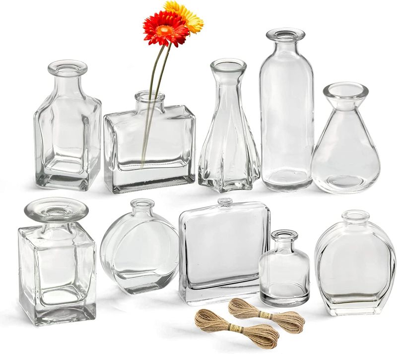 Photo 1 of Paisener Bud Vases Set of 10, Small Glass Vase Set, Cute Decorative Bottles for centerpieces, Can be Used as Diffuse Bottles and Apothecary Bottles, Clear Mini Vase Set (Clear, 10)