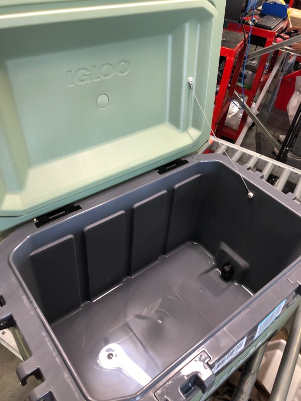 Photo 2 of ****ONE OF THE HANDLES IS MISSING***** Igloo BMX 52 Quart Cooler with Cool Riser Technology, Fish Ruler, and Tie-Down Points Oil Green