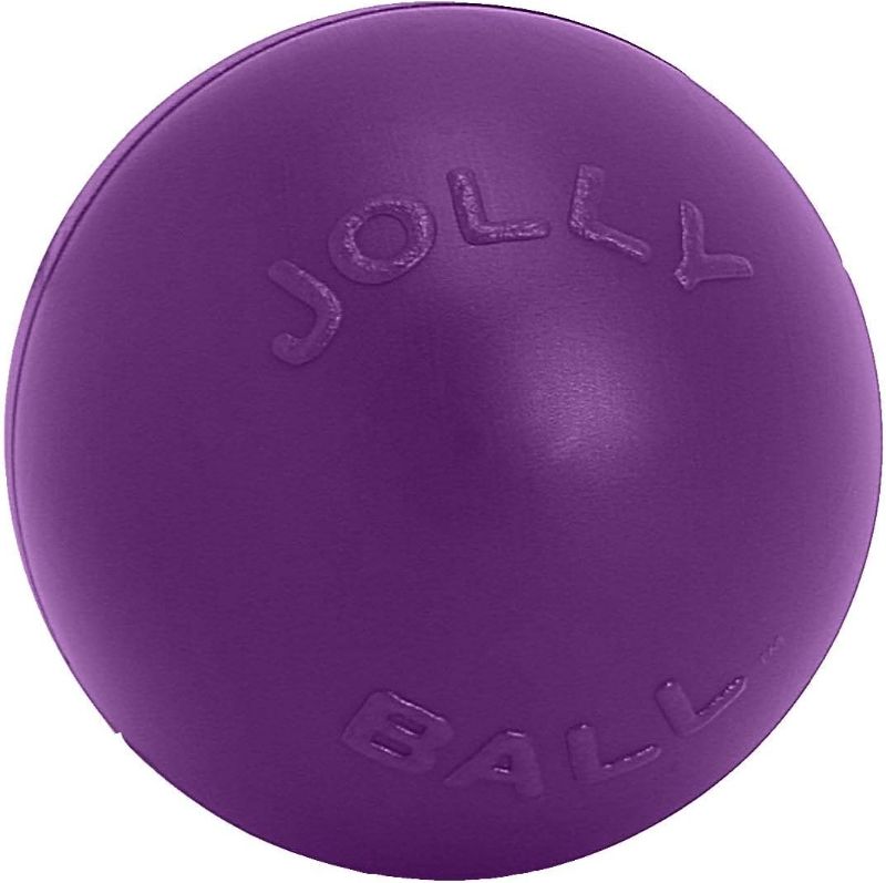 Photo 1 of Jolly Pets Push-n-Play Ball Dog Toy, 10 Inches/Large, Purple
