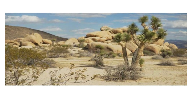Photo 1 of AWERT 48x24 inches Terrarium Background Mountain Rock Joshua Tree Oasis Desert Gobi Reptile Habitat Background Vinyl