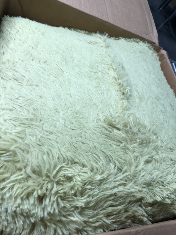 Photo 3 of Yellow Fluffy Area Rugs for Living Room

**NOT AS YELLOW AS PICTURE** **NEEDS TO BE CLEANED