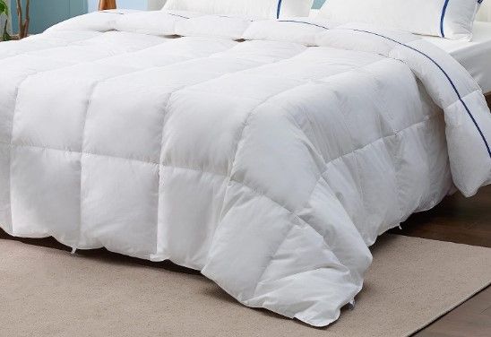 Photo 1 of Bedsure Lightweight Goose Feather Down Comforter Queen Size - Summer Weight Down Comforter Queen, Extra Puffy Queen