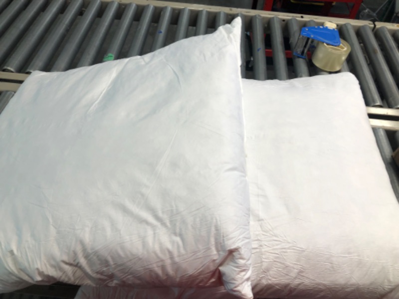 Photo 3 of Yesterday Home 28x28 Euro Pillow Inserts-Down Feather Pillow Inserts-White