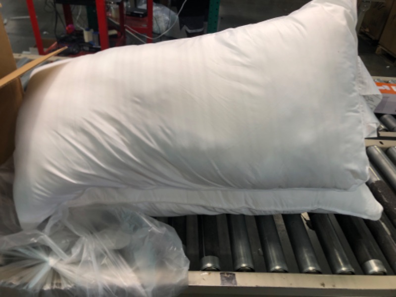 Photo 3 of  White Pillows 2 pack 