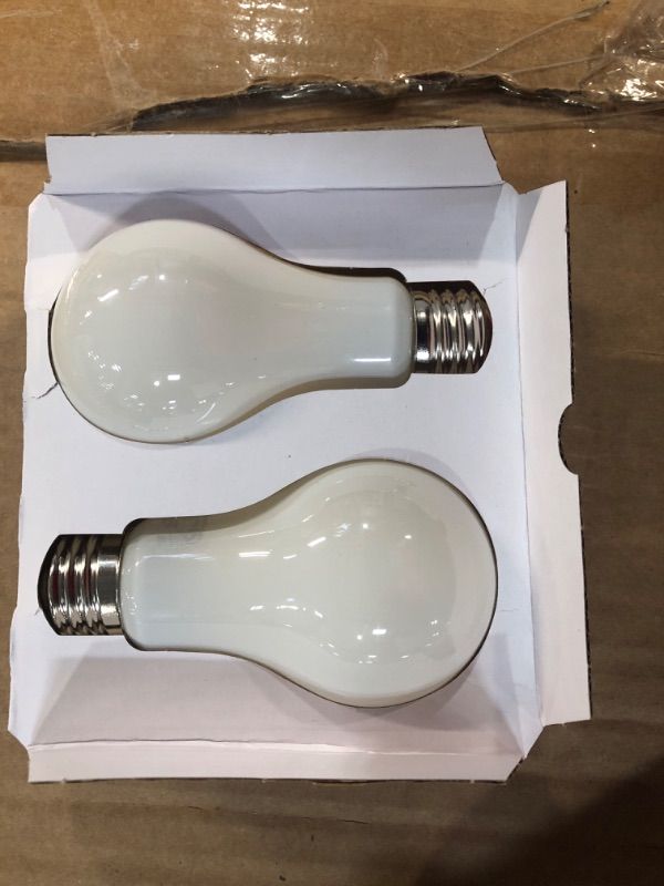 Photo 3 of 100-Watt Frosted Glass Filament LED Light Bulb Bright White (2-Pack)