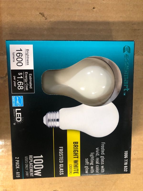 Photo 1 of 100-Watt Frosted Glass Filament LED Light Bulb Bright White (2-Pack)