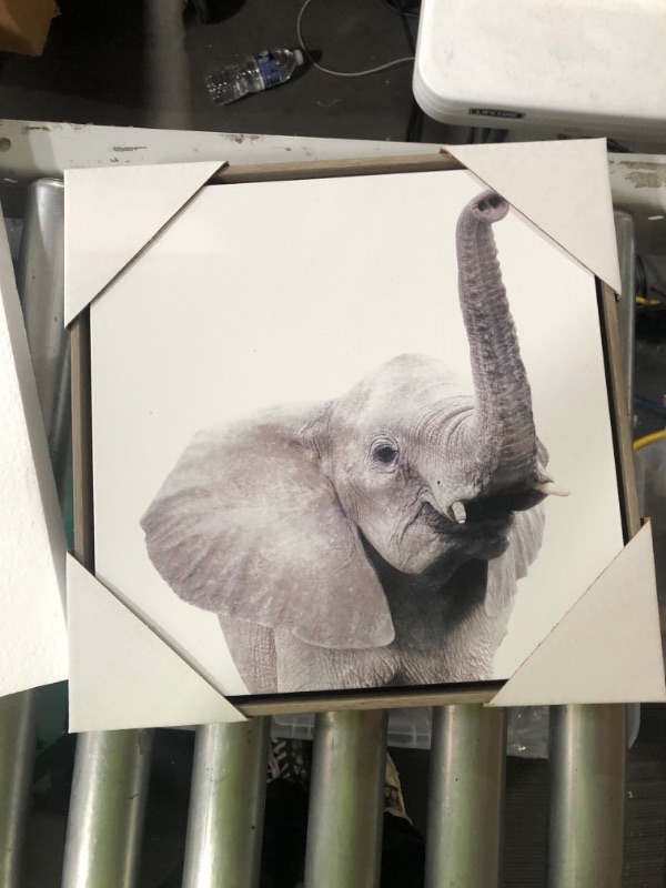 Photo 5 of [Missing One] 13" x 13" 6pc Ari Safari Animals Wall Art Gray - Kate & Laurel All Things Decor