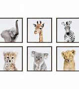 Photo 1 of [Missing One] 13" x 13" 6pc Ari Safari Animals Wall Art Gray - Kate & Laurel All Things Decor