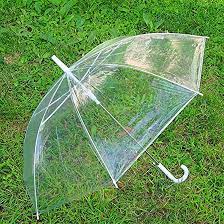 Photo 1 of  Clear Dome See Through Umbrella with White Handle New