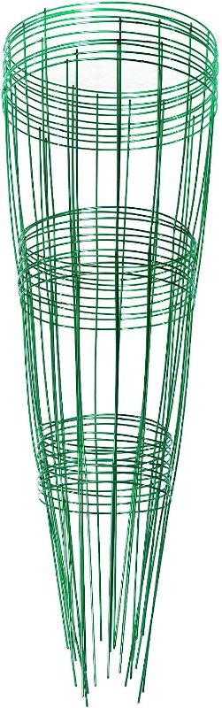 Photo 1 of  Plant Support, 12 by 33-Inch, Emerald Green (Pack Of 10 Supports)