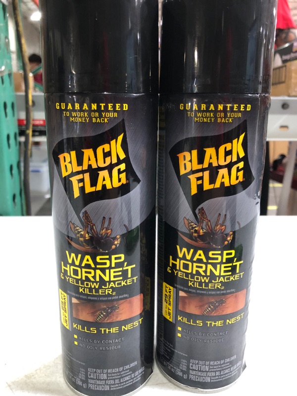 Photo 2 of  DLE OFBlack Flag HG-11123-1 Wasp, Hornet, and Yellow Jacket Insect Killer