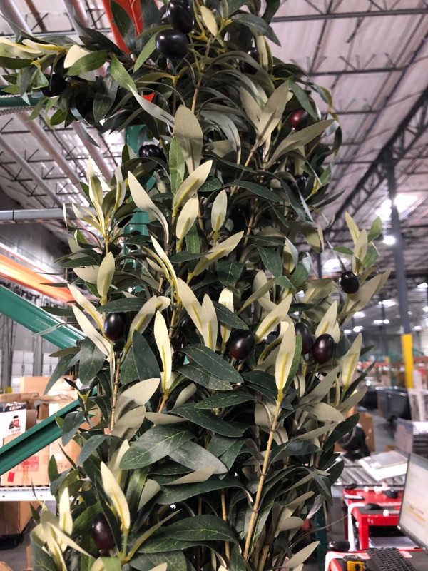 Photo 2 of  Artificial Olive Trees Silk Trees Faux Olive 6ft Tall Tree in Potted Oliver Branch Leaves and Fruits 