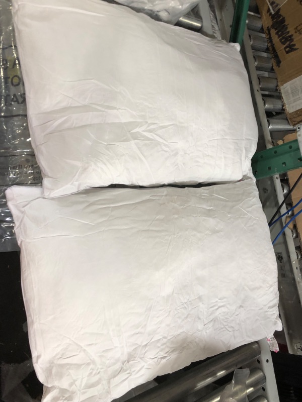 Photo 4 of 2 pack pillow 27"x17" rectangle White