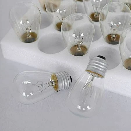 Photo 1 of 36 11W Edison Bulbs