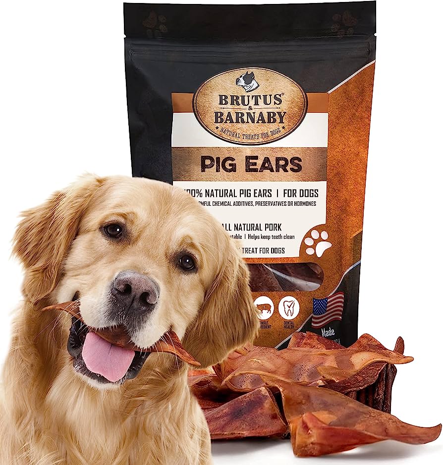 Photo 1 of 100% Natural Whole Pig Ear Dog Treat - 12 Pack - Great For Small Or Large Dogs