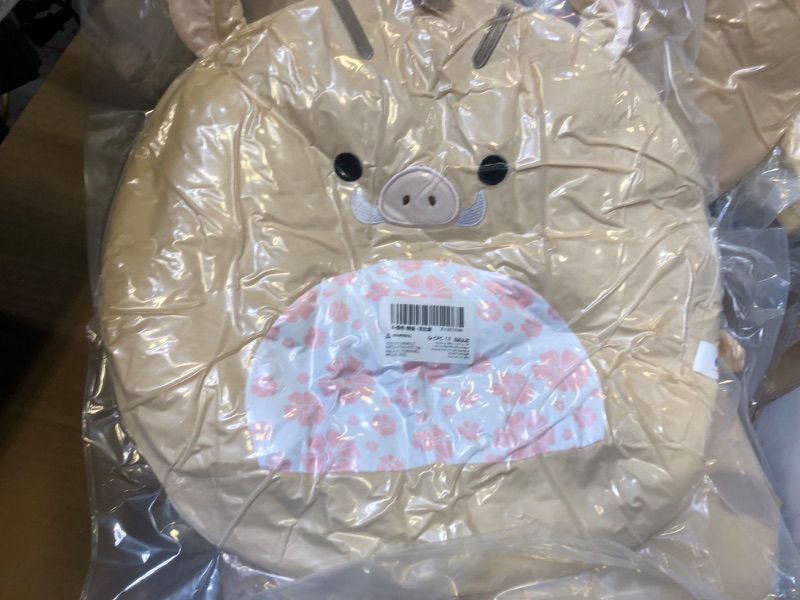 Photo 1 of 13.5 inches Soft Stuffed Pillow