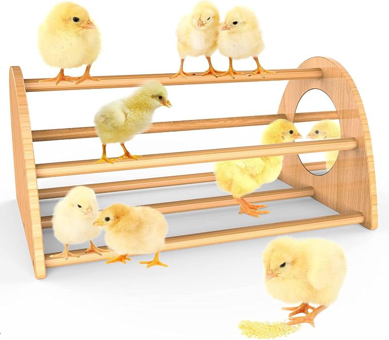 Photo 1 of  Bamboo Chicken Perch with Mirror, Strong Roosting Bar for coop and brooder, Training Perch for Large Bird, Hens, Parrots, Macaw, Easy to Assemble and Clean, Fun Toys for Chicken