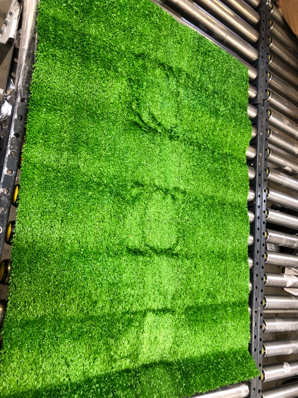 Photo 1 of 38x28 turf grass