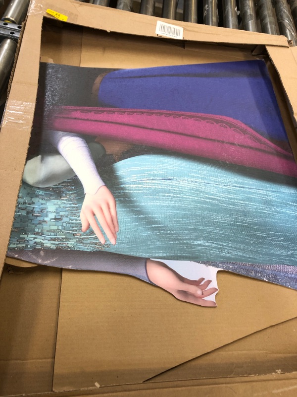 Photo 1 of Advanced Graphics Elsa & Anna Life Size Cardboard Cutout Standup - Disney's Frozen (2013 Film)

