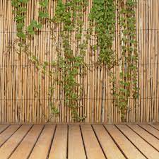 Photo 1 of 6 ft. H x 16 ft. L Natural Jumbo Reed Bamboo Fencing
