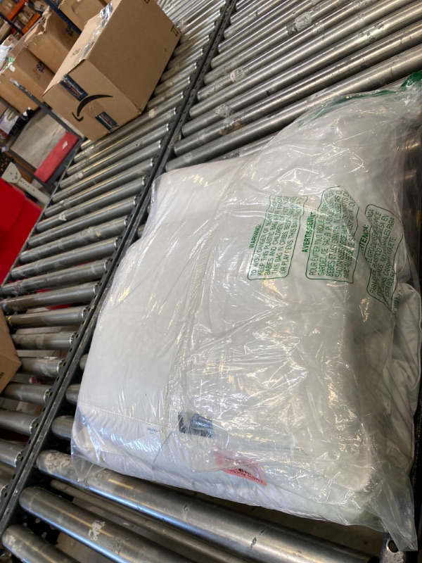 Photo 1 of 2 pack standard pillows 