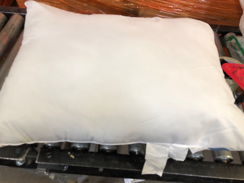 Photo 1 of 20x2 standard fluffy white  pillow