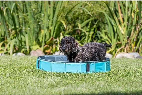 Photo 1 of 27-in Outdoor Splash Pool for Small Dogs, Foldable Playpen, Bathtub with Drain