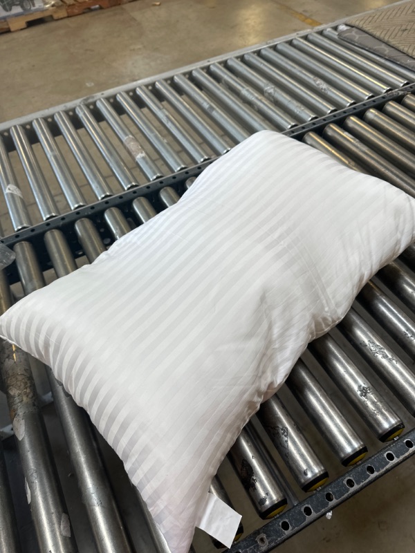 Photo 1 of 20x30 Pillow -- used needs cleaning 