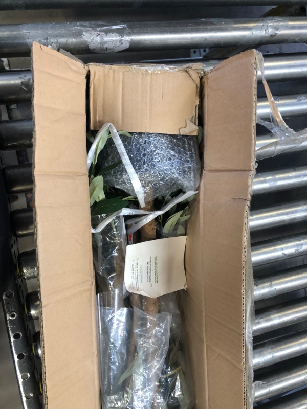 Photo 1 of Kazeila Artificial Olive Tree 5FT Tall Faux Silk Plant for Home Office Decor Indoor Fake Potted Tree with Wood Branches and Fruits, 2 Pack 2 5ft