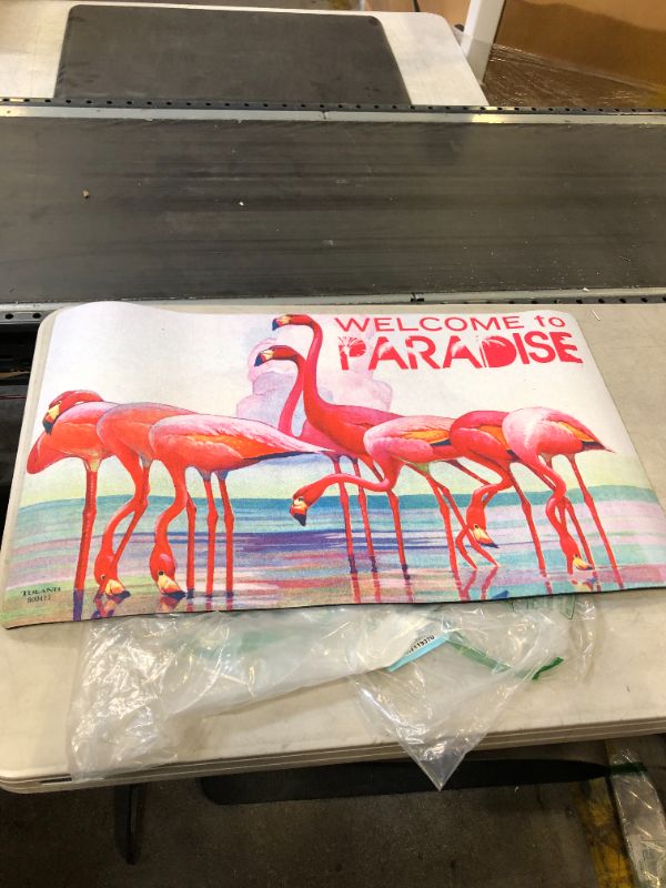 Photo 1 of 30 X 18 WELCOME MAT FLAMINGOS